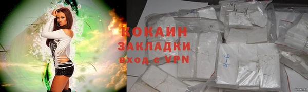 стафф Ладушкин