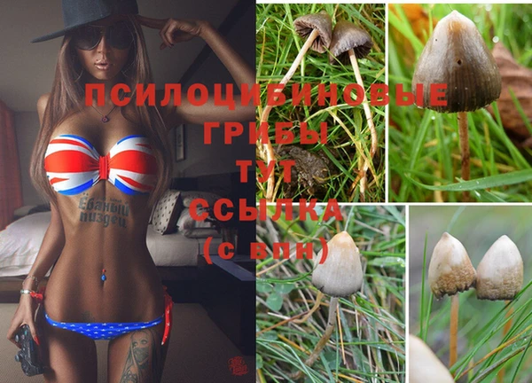 круглые Лагань
