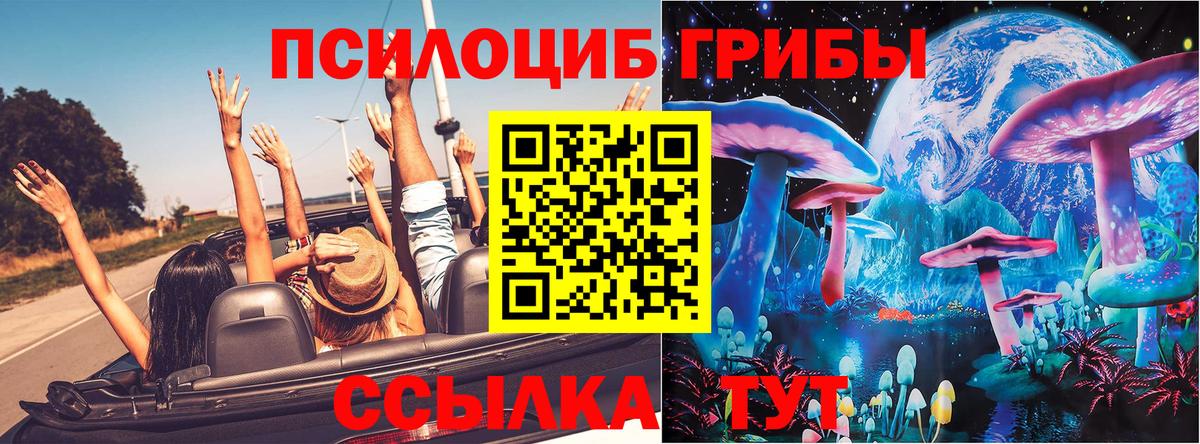 Галлюциногенные грибы Psilocybine cubensis Лесной