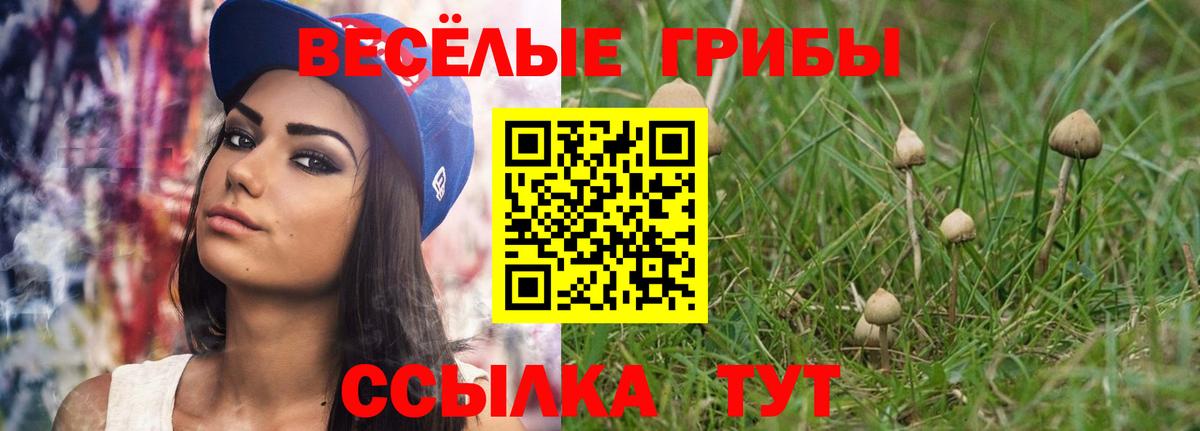 Псилоцибиновые грибы Psilocybine cubensis  Вход с VPN  Лесной  Галлюциногенные грибы Psilocybine cubensis 
